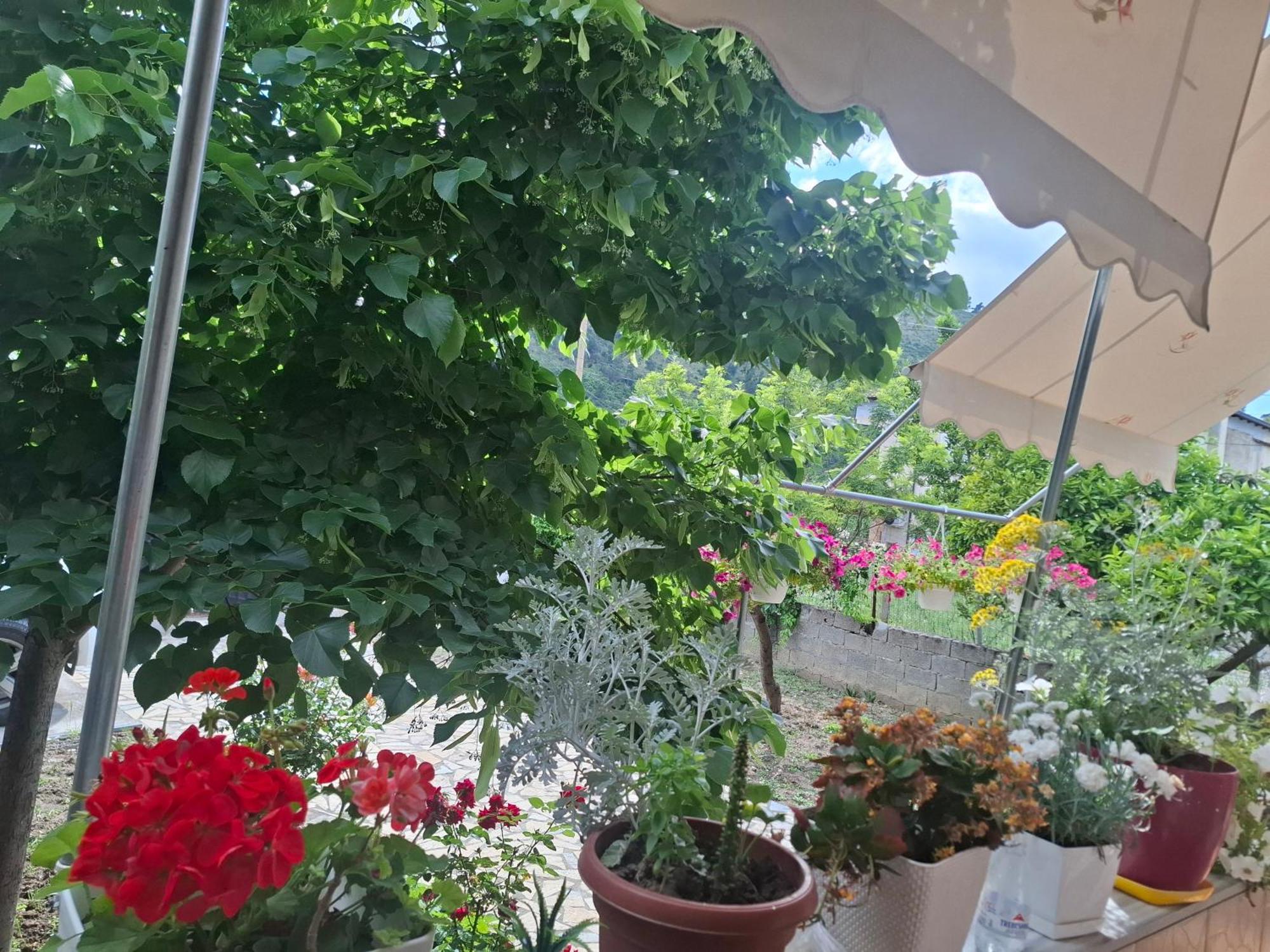 Apartment Xheison Μπεράτ Εξωτερικό φωτογραφία